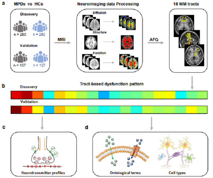 /crm/product/image/20230901/1693546460691051260.png 1693546460691051260.png